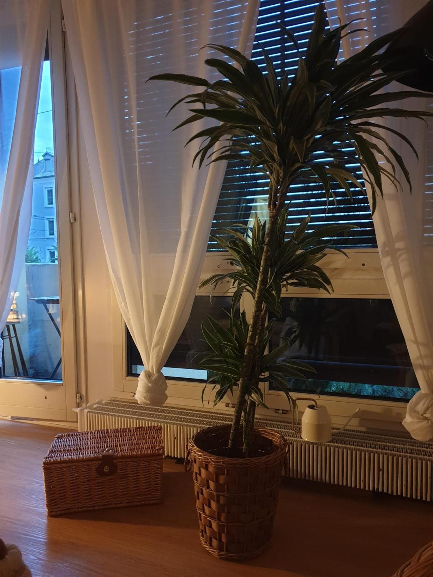 El Destino Apartments Zürich Kültér fotó